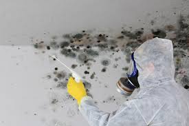 Best Crawl Space Mold Remediation in Brookfield, NJ